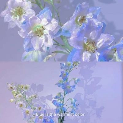 乐鱼app下载下载手机版